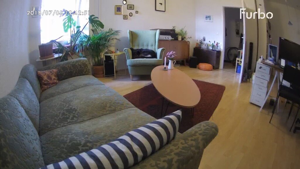 Bild von der Hundekamera Furbo in ein Wohnzimmer mit einem schwarzen Hund, der auf einem Sessel liegt und schläft
