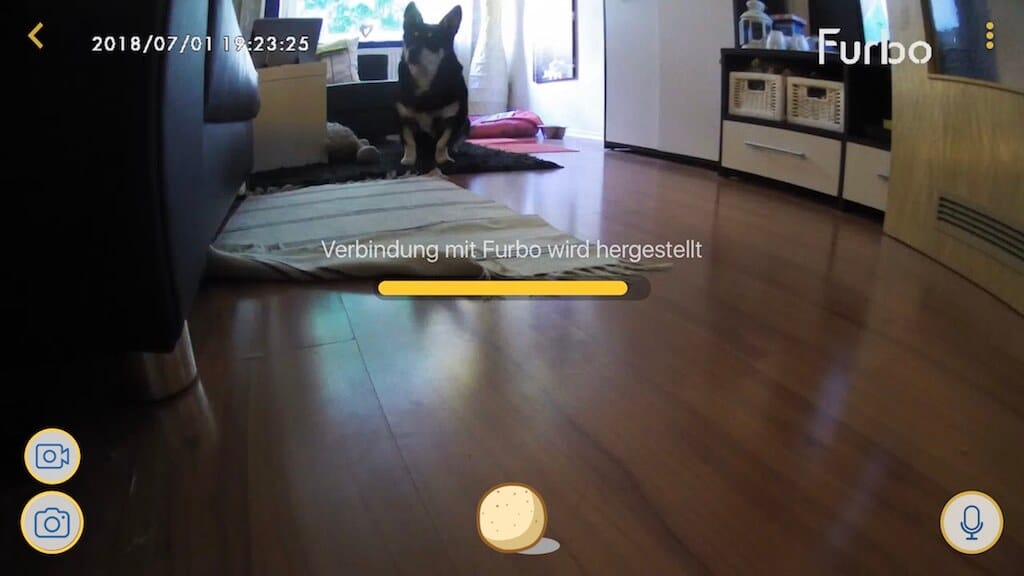 Screenshot aus der App der Hundekamera Furbo heraus