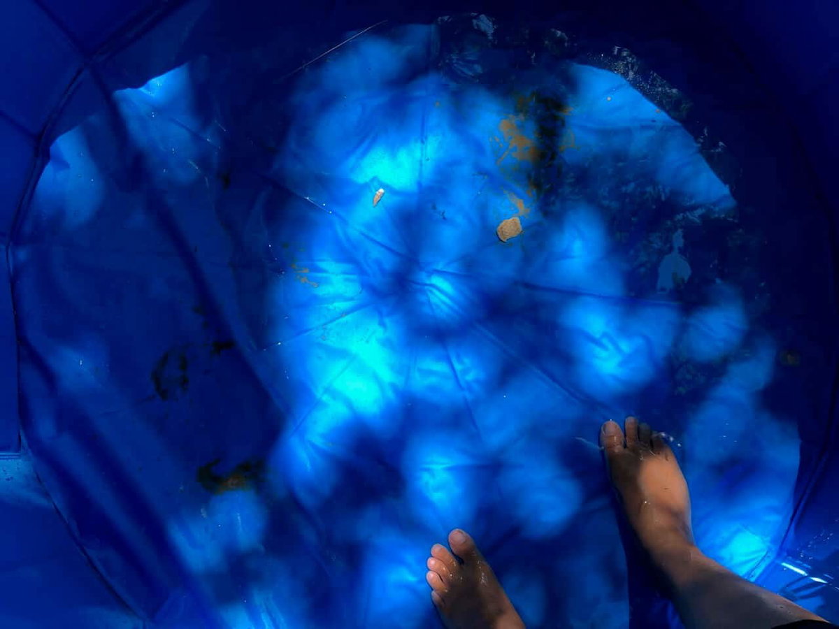 Blick von oben in einen blauen Hundepool Fuloon mit etwas Wasser und zwei Füßen am Rand