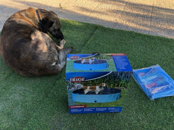 Trixie Hundepool mit Abdeckung im Test