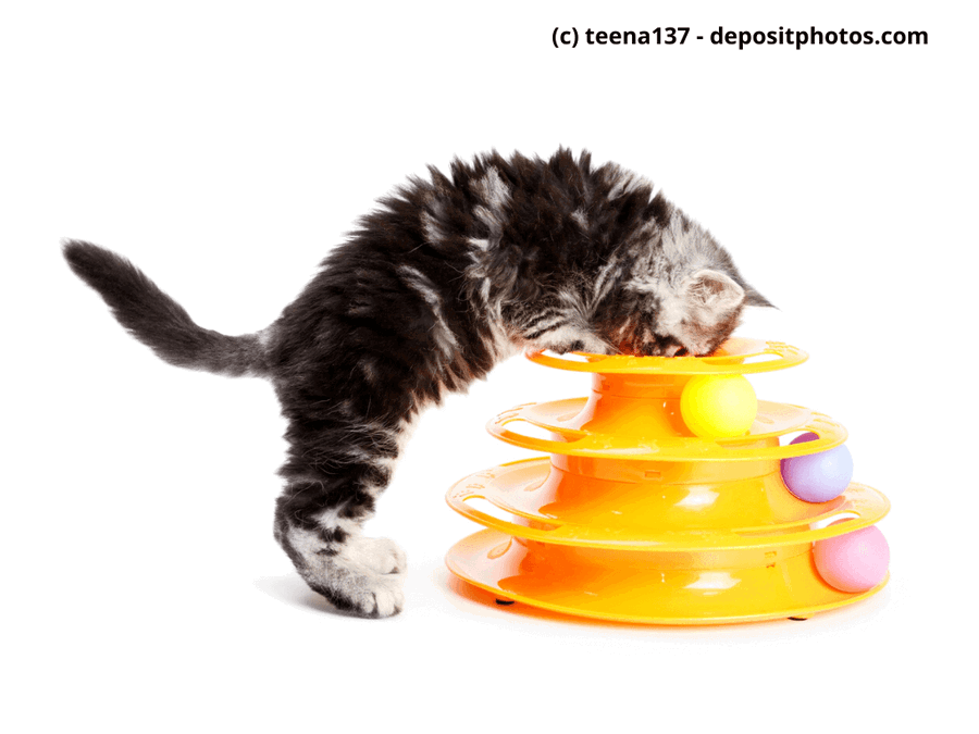 Kaufratgeber: Das beste Intelligenzspielzeug für Katzen mit Köpfchen