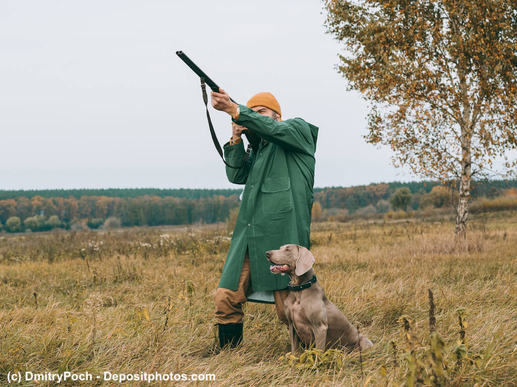 Jäger schießt, Jagdhund sitzt aufmerksam daneben