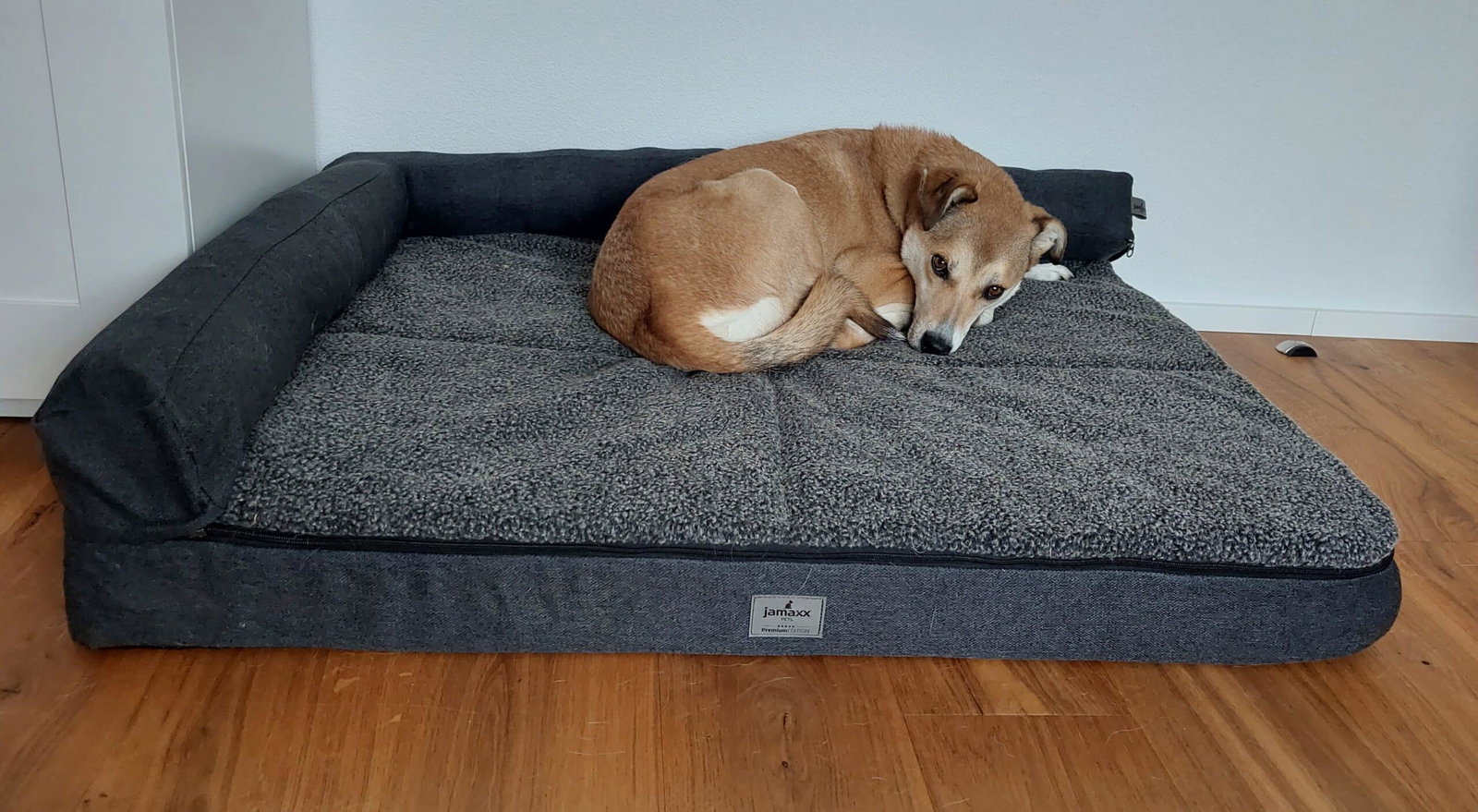 Jamaxx Hundebett Test Nala