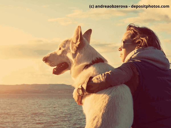 Woher bekomme ich einen Hund? Annoncen, Anzeigen und Co.