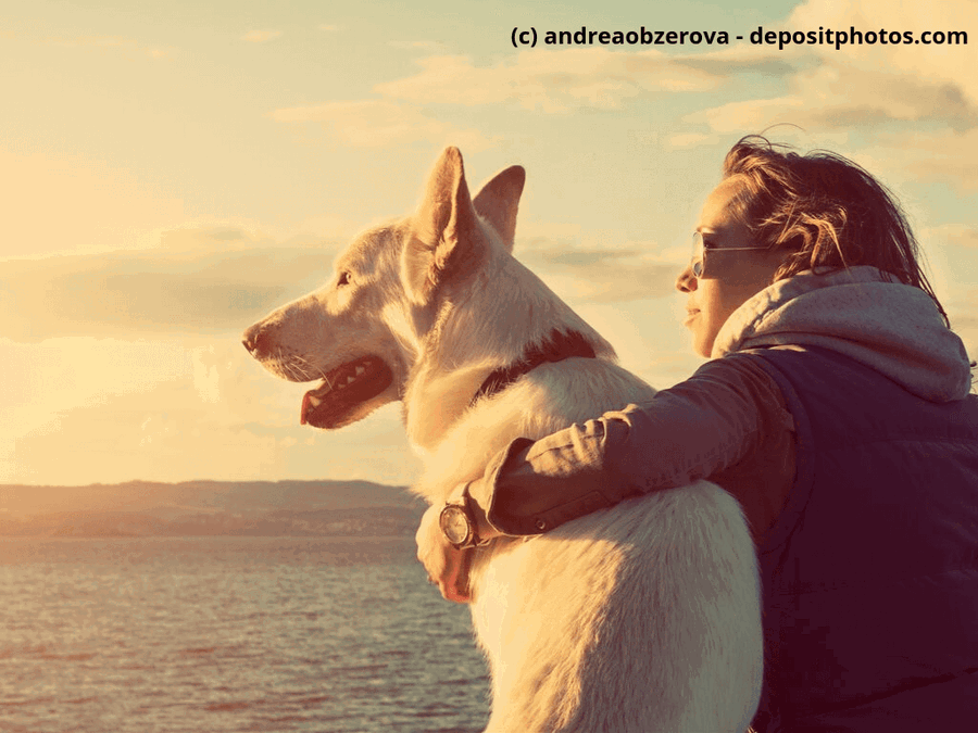 Woher bekomme ich einen Hund? Annoncen, Anzeigen und Co.