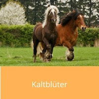 Kaltblüter: Die sanften Riesen