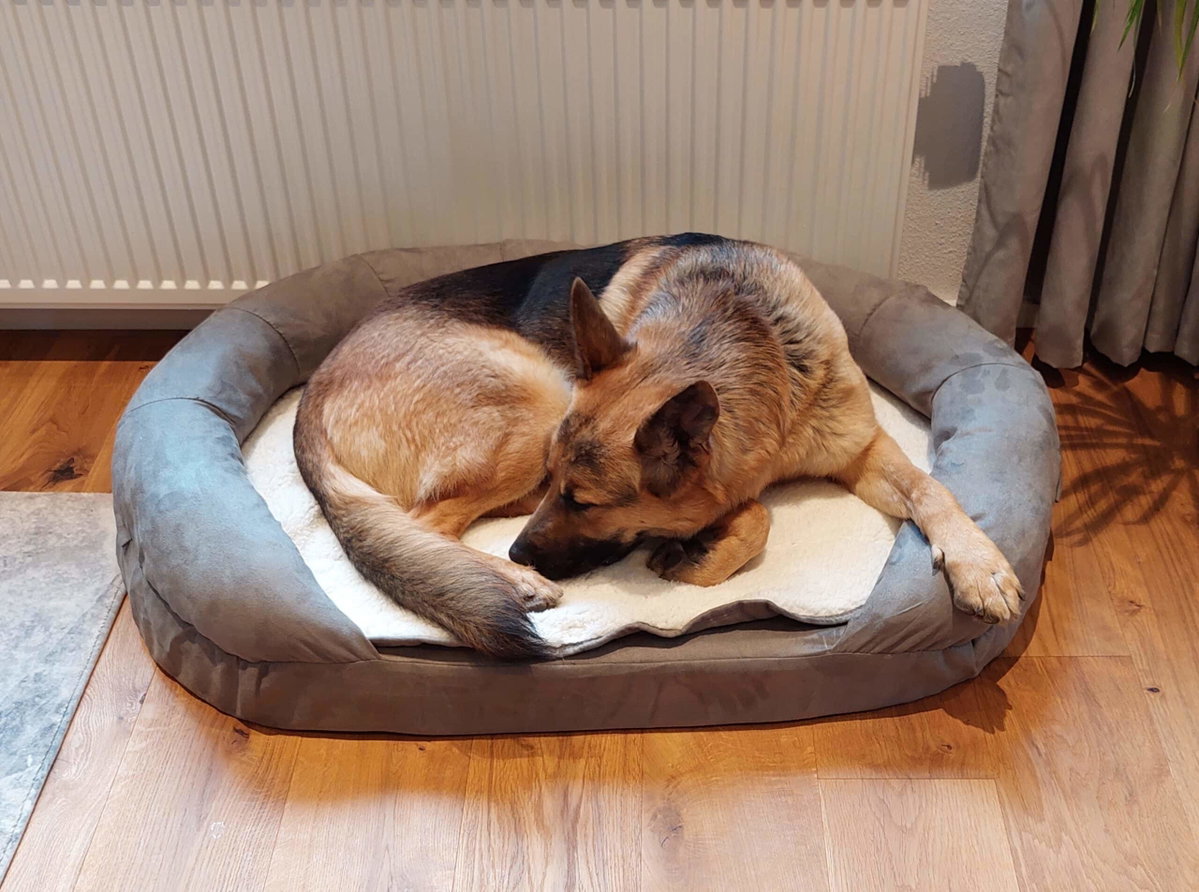 Schäferhund liegt in Karlie Hundebett