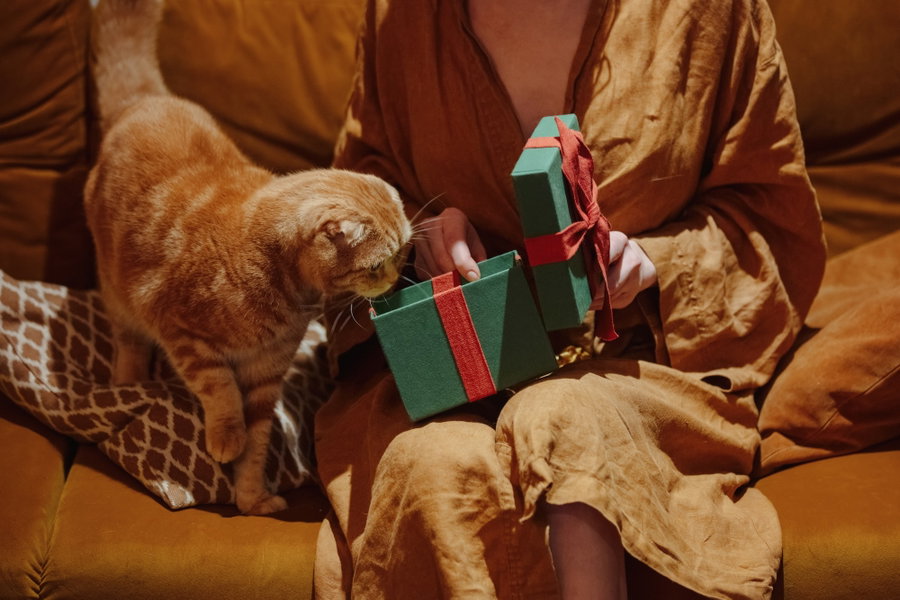 Geschenke für Katzenliebhaber