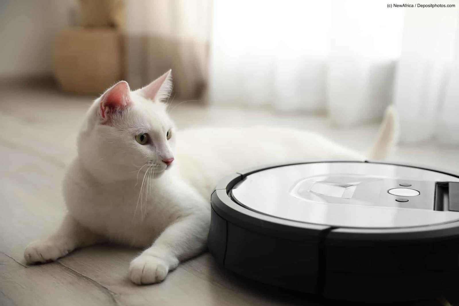 Weiße Katze liegt auf Parket und schaut interessiert zu einem Staubsaugerroboter neben ihr. Bildbeschreibung lautet: Saug- und Wischroboter helfen dir als Allergiker deine Wohnung sauber zu halten und nicht zuviel Staub und Haare aufzuwirbeln.