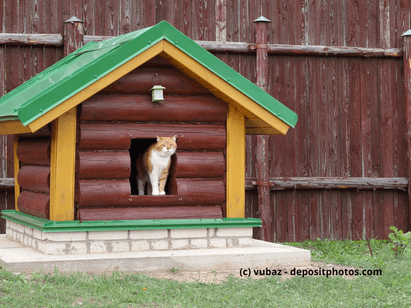 Kaufratgeber: Katzenhaus Outdoor – ein geschützter Schlafplatz für draußen