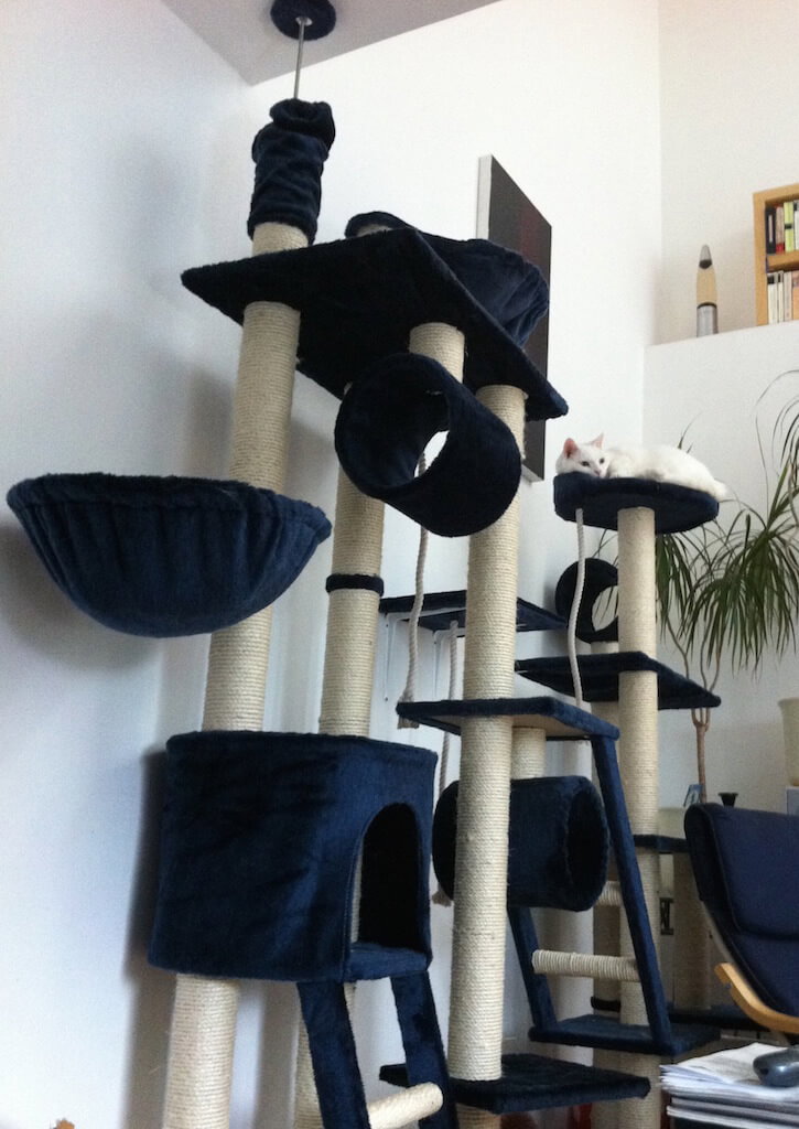 Großer Kratzbaum mit weißer schlafender Katze