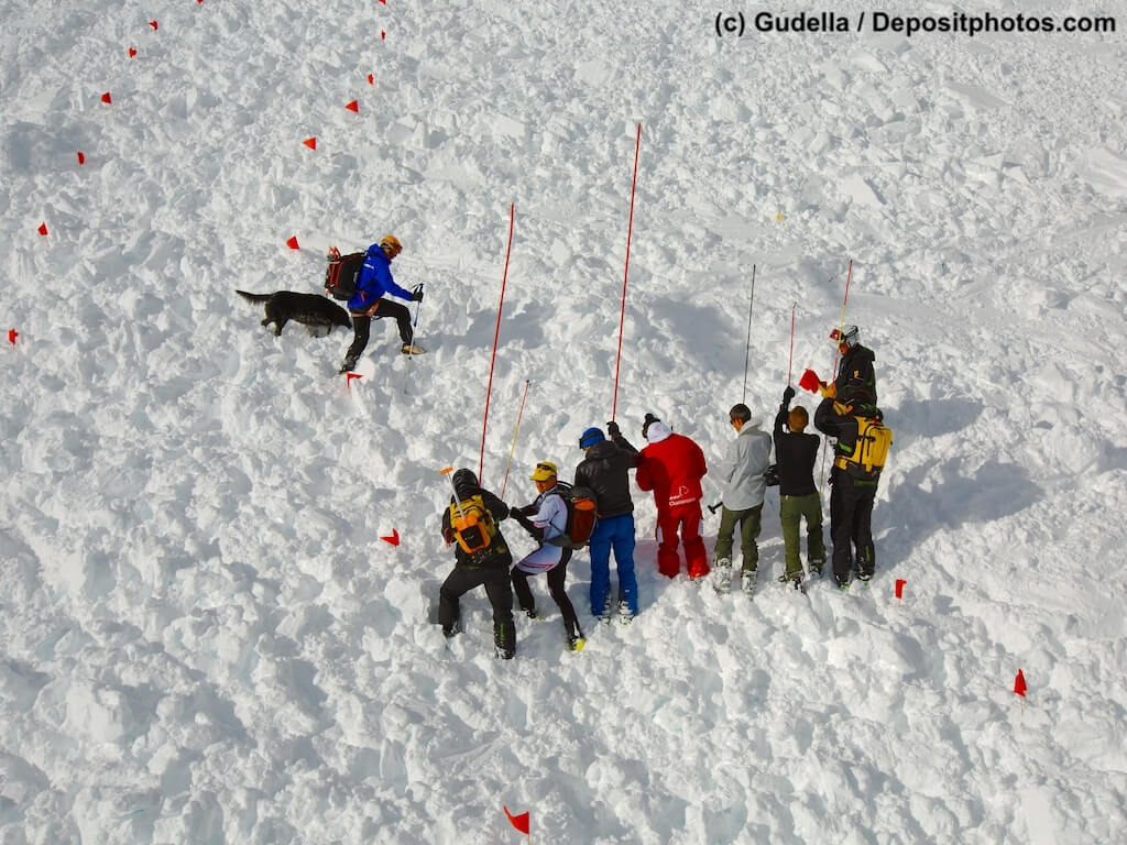 Menschenkette mit Sonden und Hund suchen auf verschneitem Berghang Lawinenopfer.