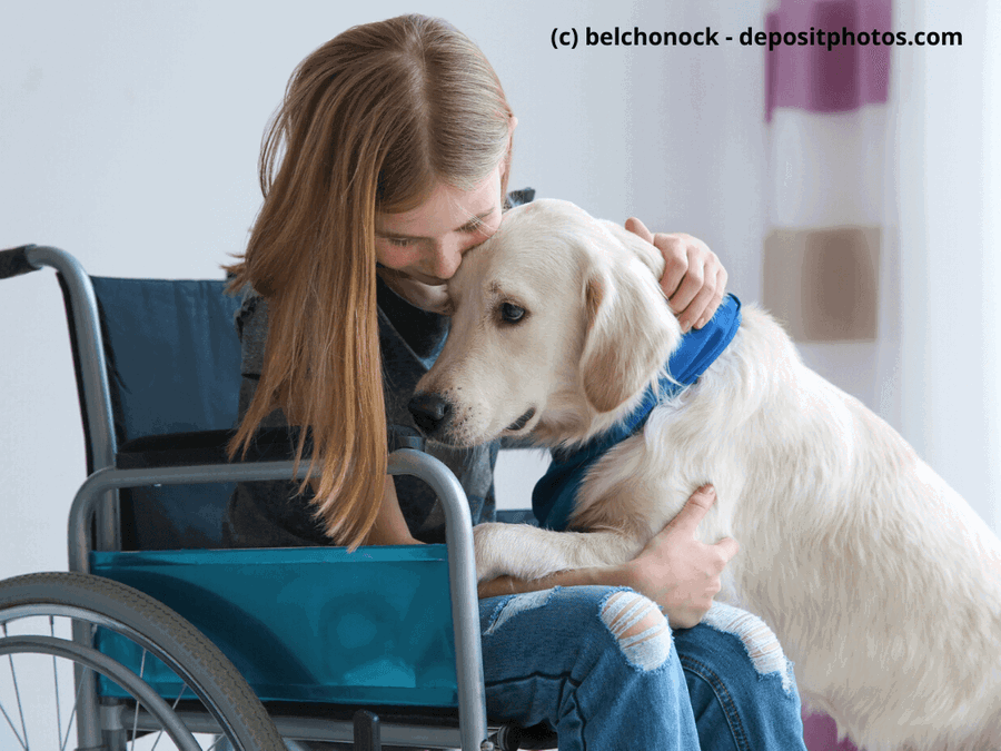 Assistenzhunde - Der Übersichtsartikel