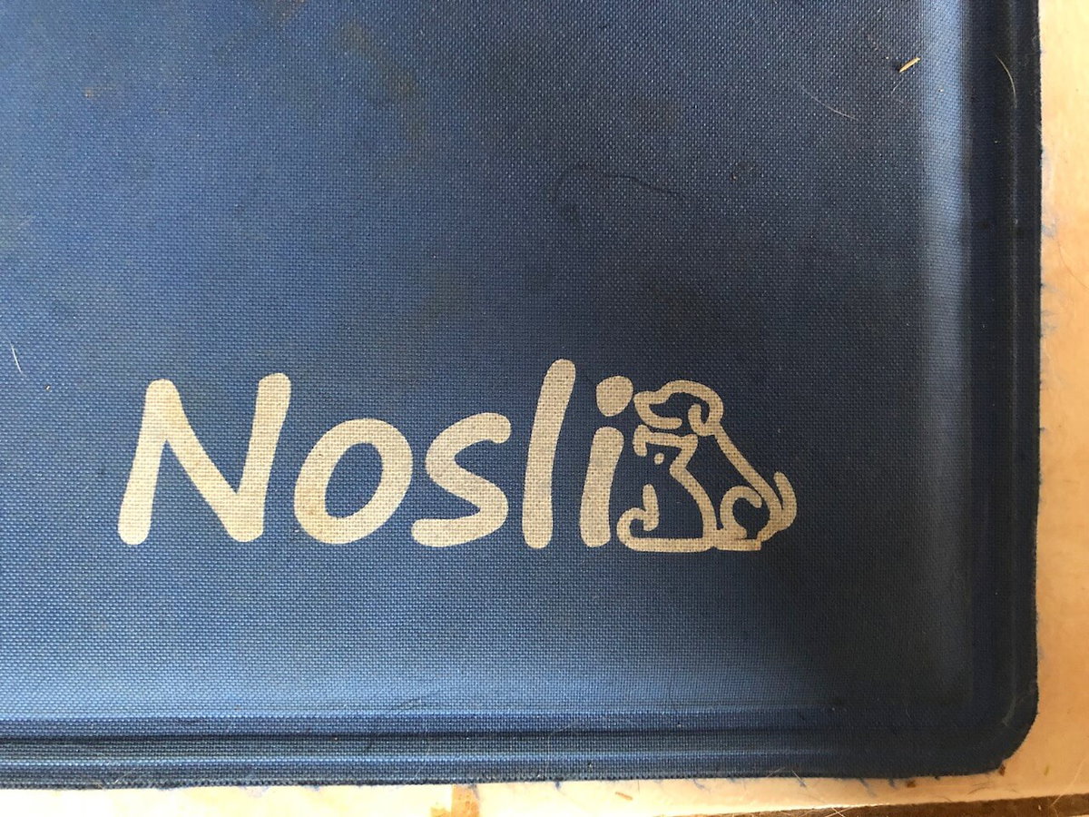 Feste und stabile Kühlmatte von Nosli im Test