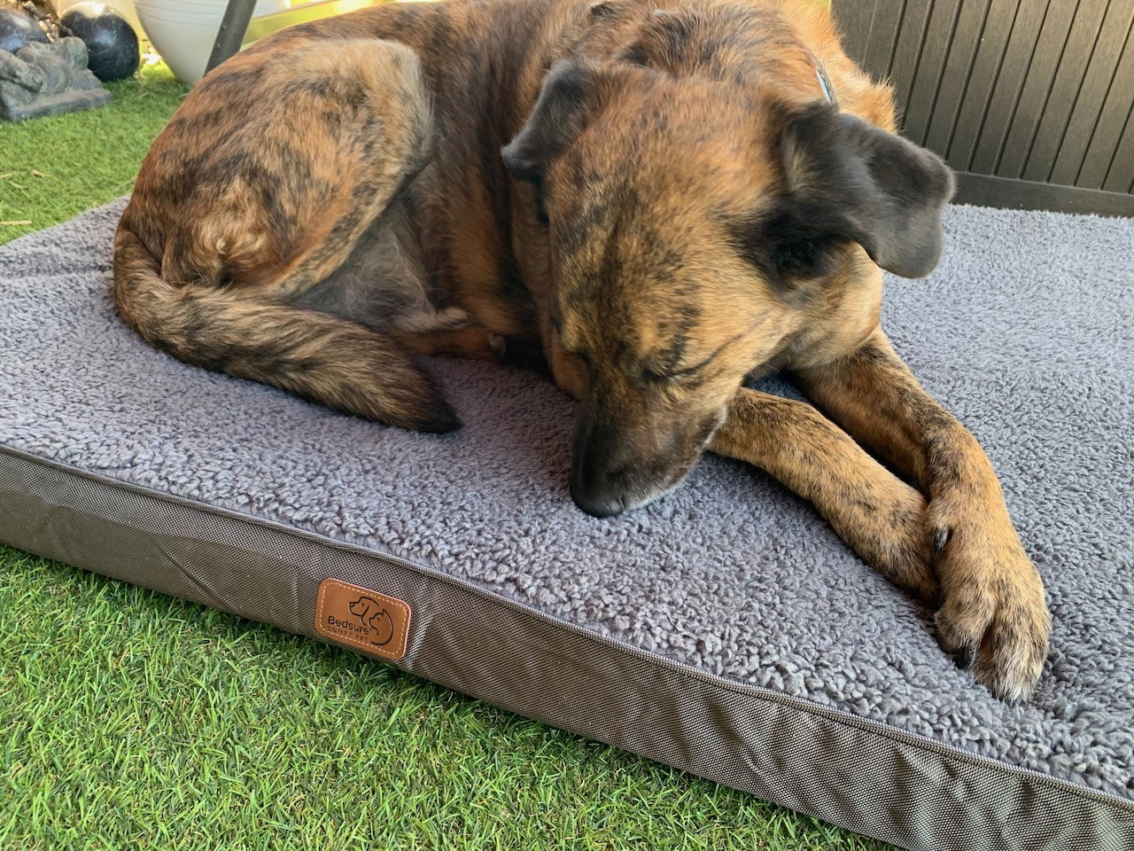 XXL - die Orthopdische Hundematratze von Bedsure im Test