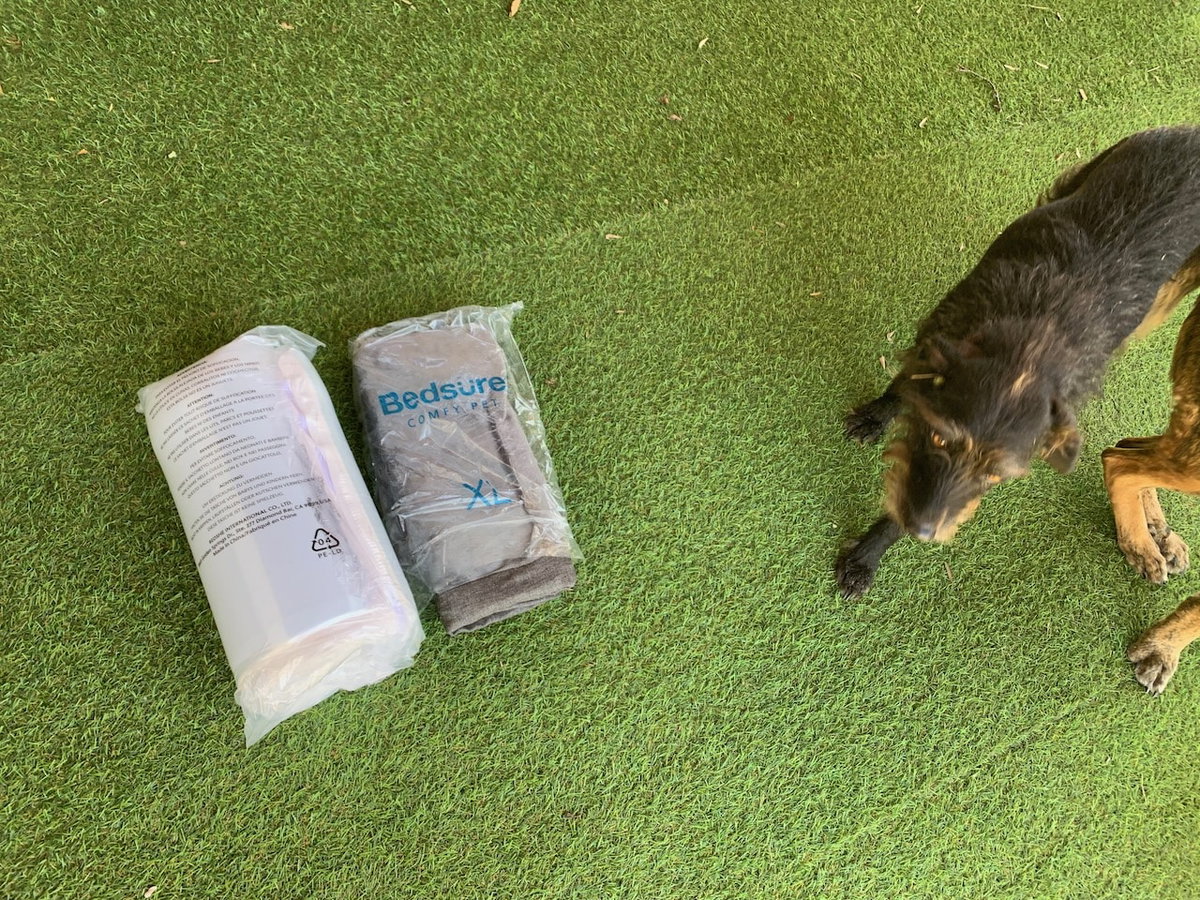 Auch Pepper hat beim Testen mitgeholfen. Wenn auch eher als moralische Unterstützung.