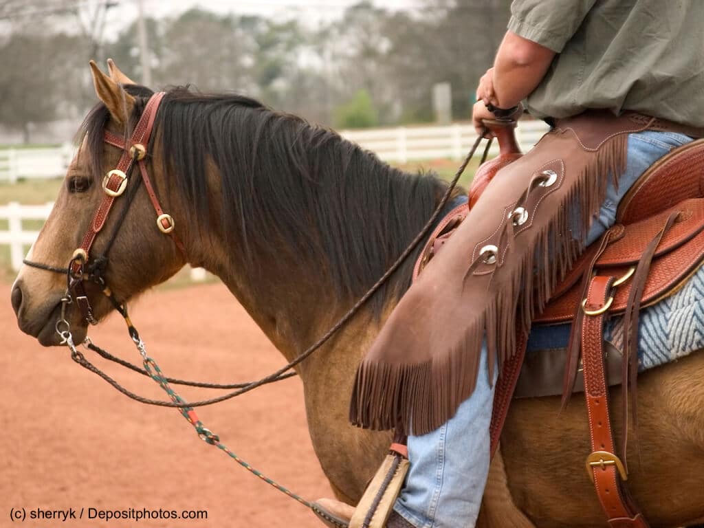 Quarter Horse