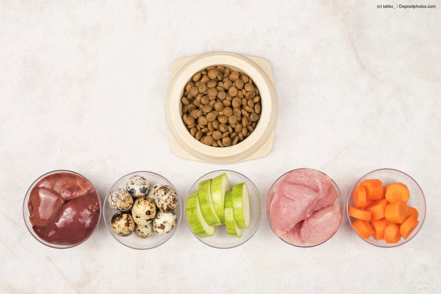Hypoallergenes Hundefutter – für Hunde mit Allergien