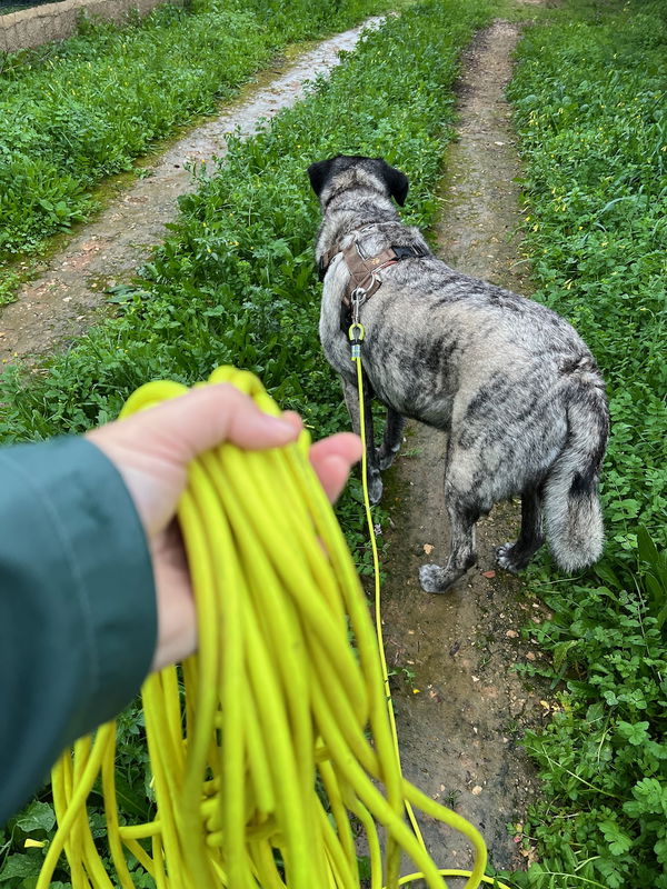 Die runde XXL Biothane-Schleppleine von Lennie im Test