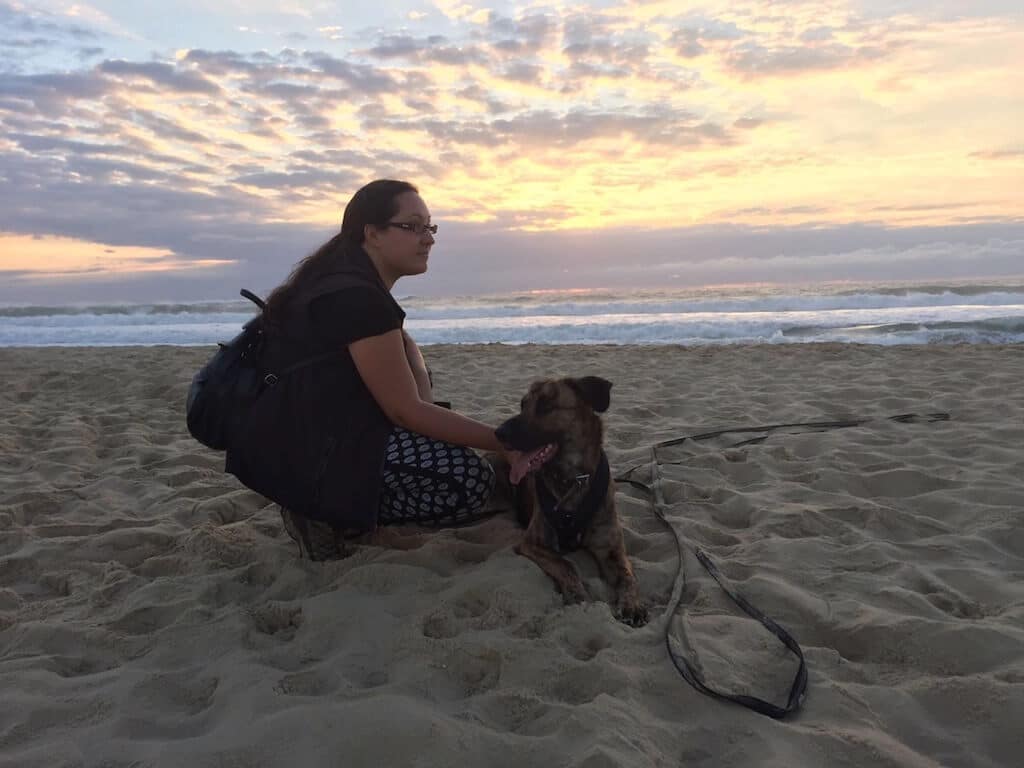 Gummierte Schleppleine von Julius K-9 im Einsatz am Strand