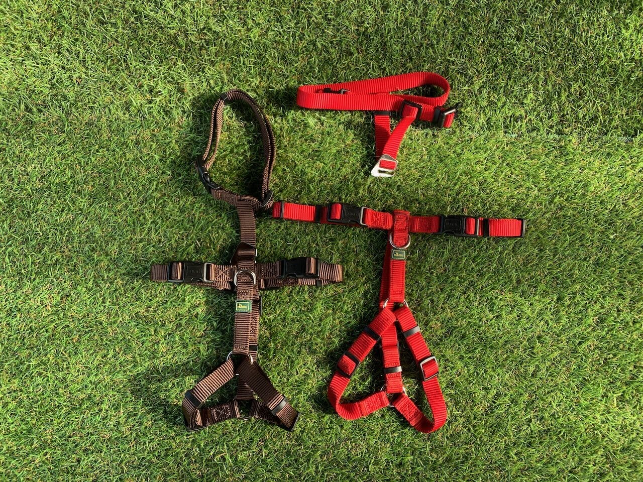 Ein braunes und ein rotes Vario Rapid Sicherheitsgeschirr von Hunter liegen auf einem grünen Kunstrasen. Beschriftung lautet: Gerade wenn du noch nicht viele Erfahrungswerte mit deinem Hund hast, sollte dein erstes Hundegeschirr fünffach einstellbar sein.