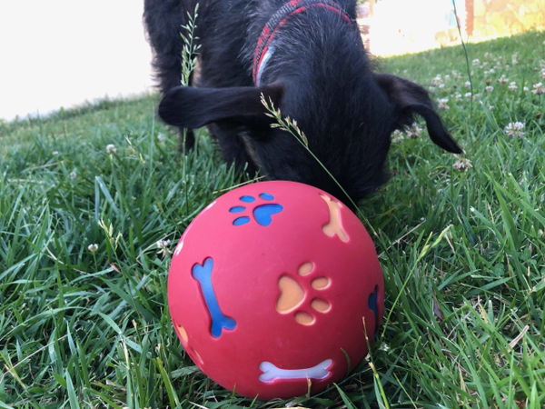 Der Snackball von NOBBY im Test
