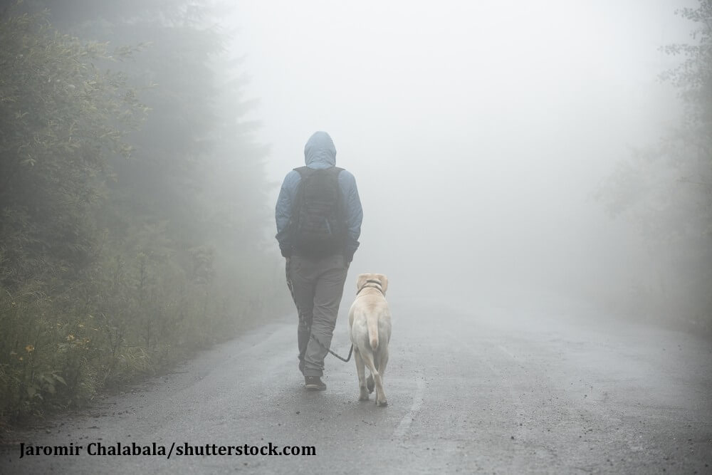 Mann geht Gassi mit seinem Hund im Nebel