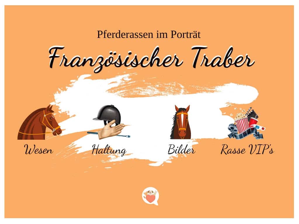 Französischer Traber