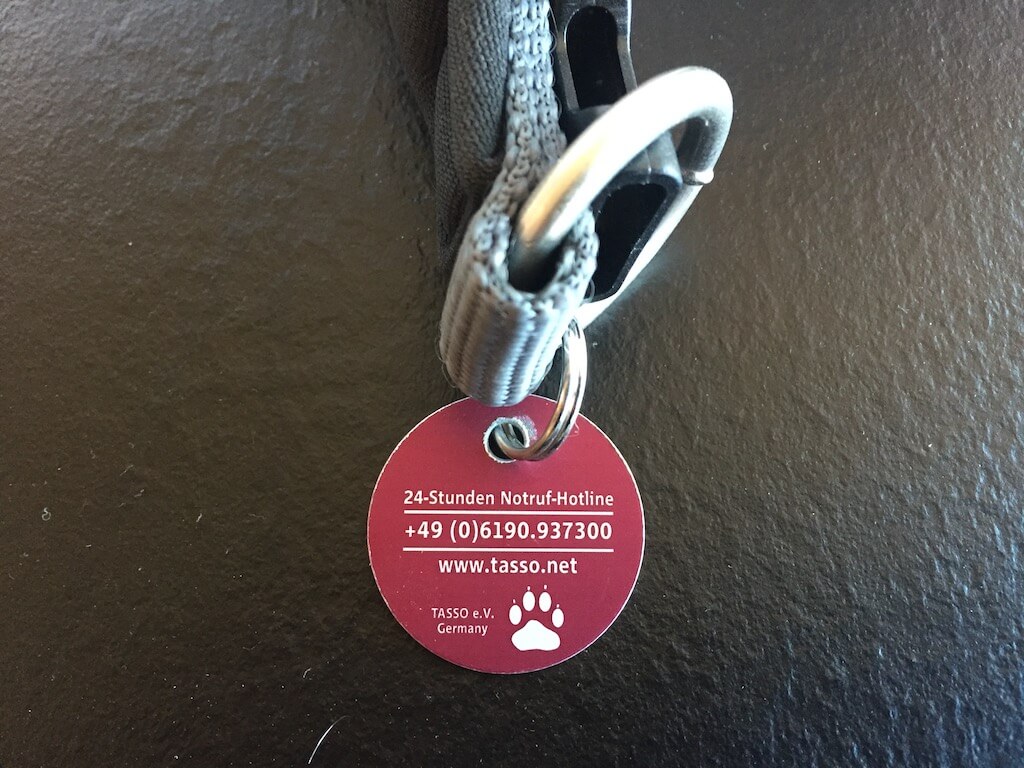 Tasso Marke mit Notfallnummer an einem Hundehalsband