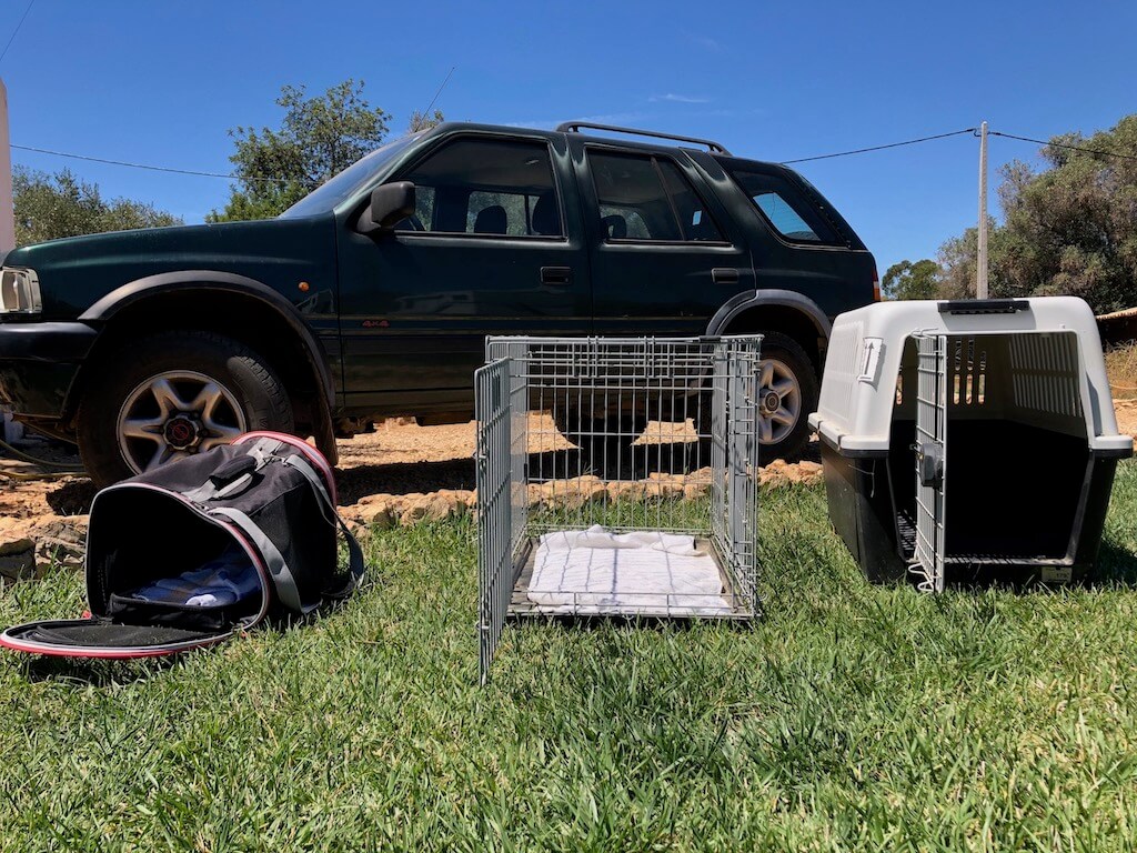 Je nach Größe deines Hundes und deines Autos solltest du die Transportbox für die Erstausstattung deines Welpen wählen.