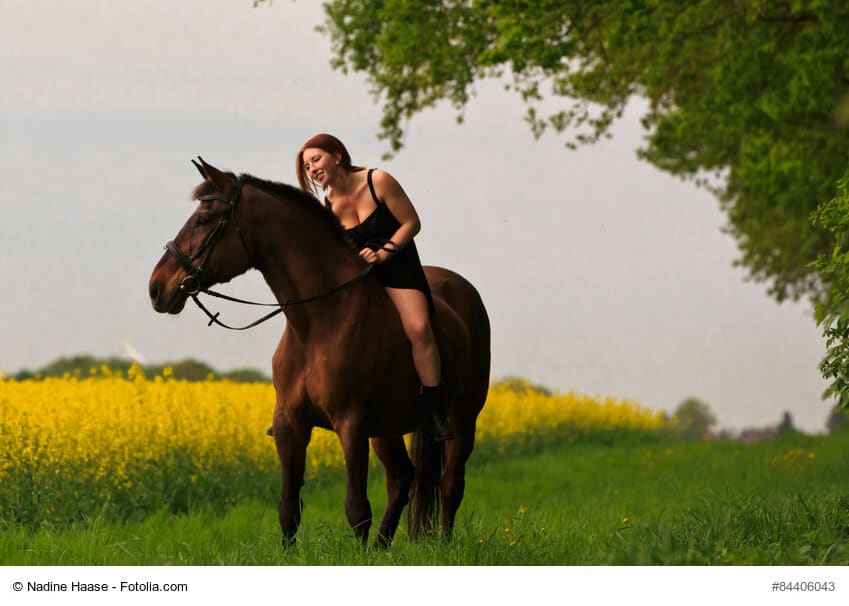 Reiterin auf Pferd am Raps