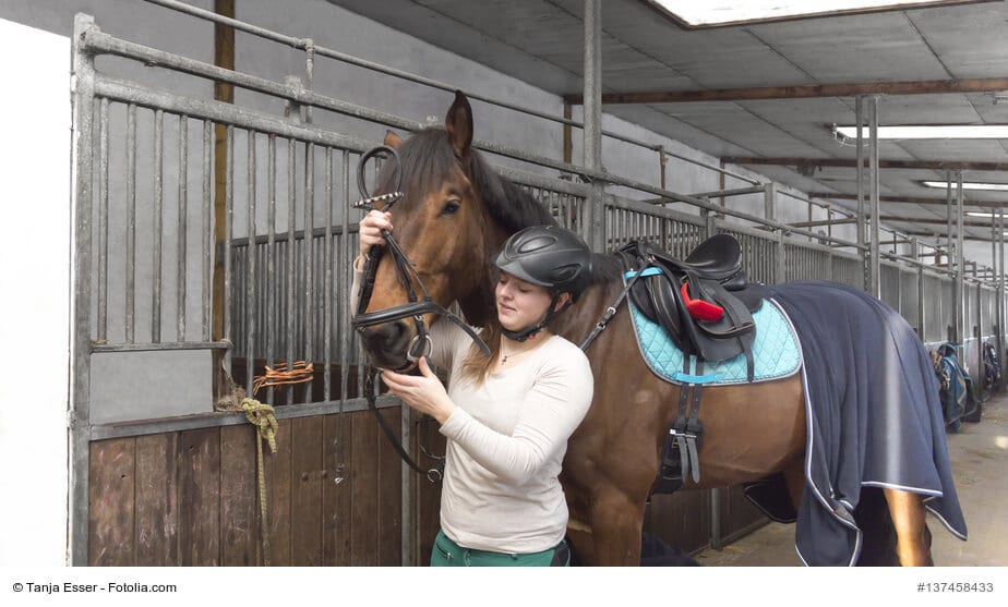 Frau trenst ihr Hannoverander Pferd in der Stallgasse mit dem Zaumzeug