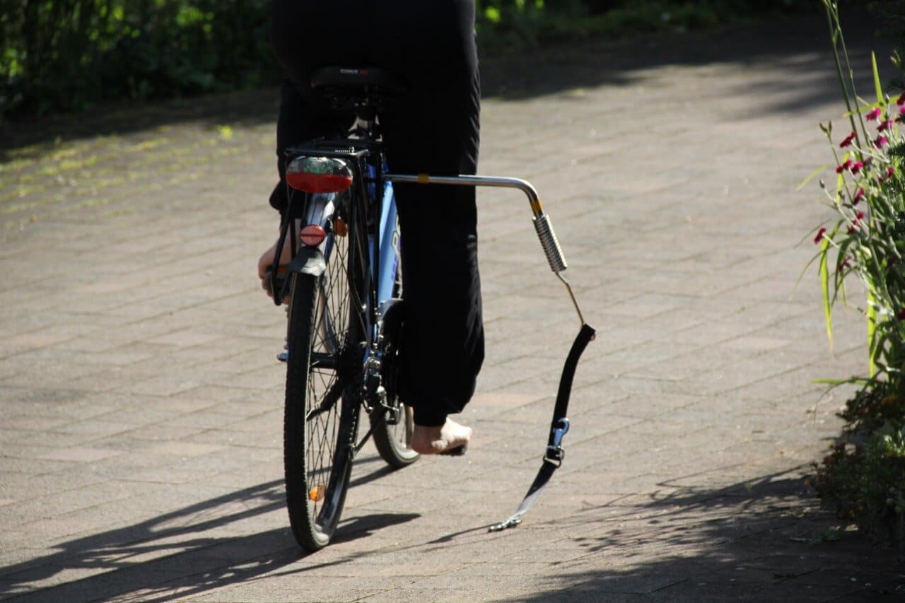 Verbesserung Trixie Bike Set