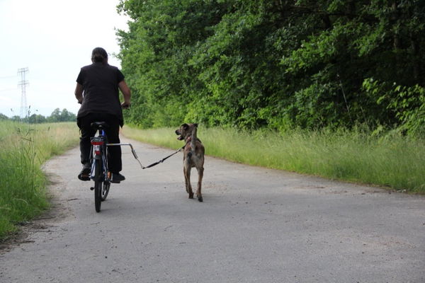 Fahrradhalter "Biker Set" von Trixie im Test