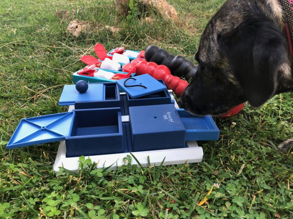 Die Dog Activity Poker Box 1 von Trixie im Test