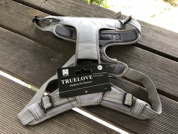 Das Hundegeschirr von Truelove im Test