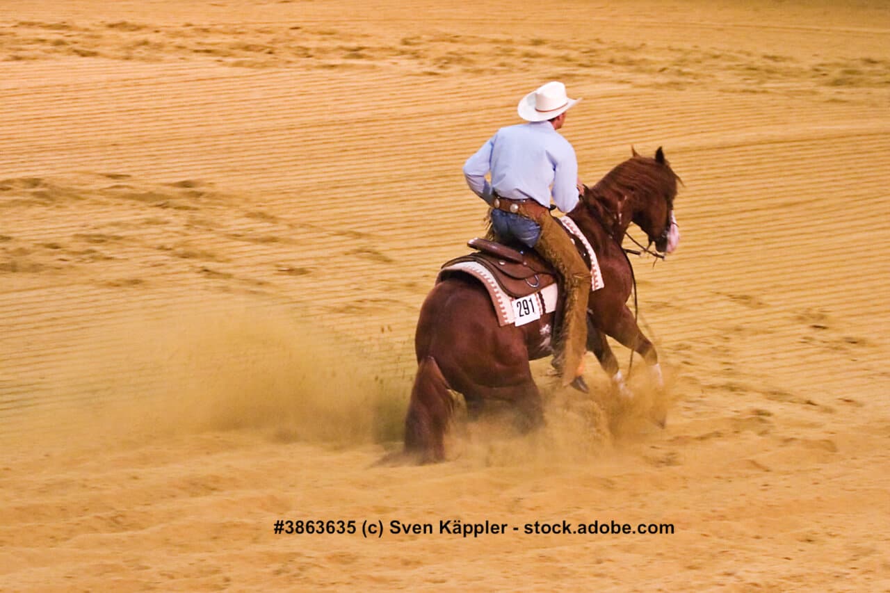 Warmblut mit Cowboy beim Westernsport.