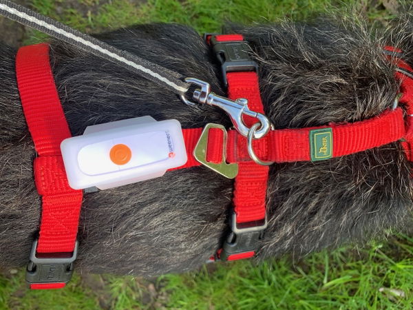 GPS-Tracker Dogs 2 von Weenect im Test