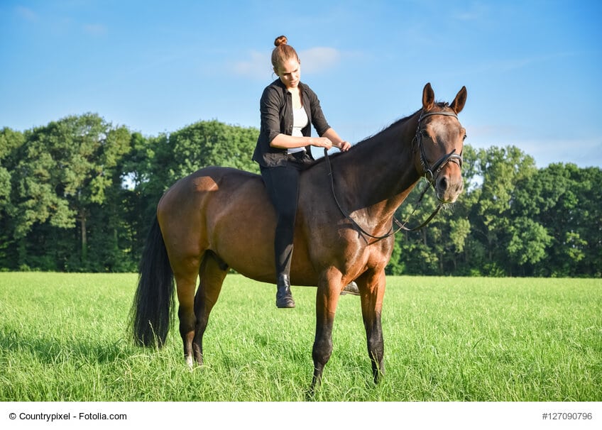 zu oft ohne Sattel zu reiten tut weder Mensch noch Pferd gut