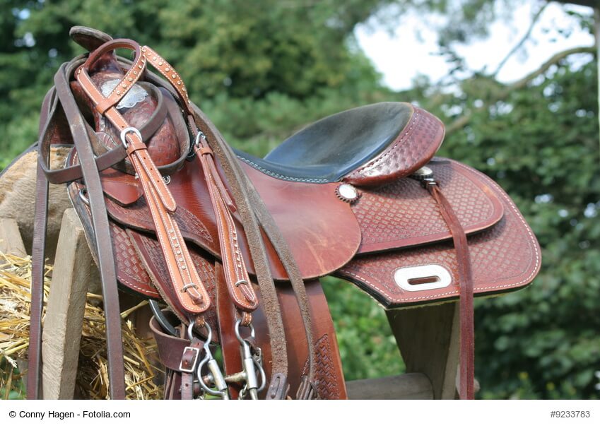 Westernsattel kaufen