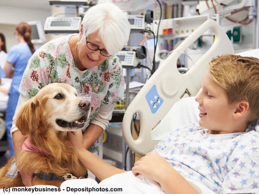 ältere Frau mit Therapiehund zu Besuch am Krankenhausbett eines Jungen