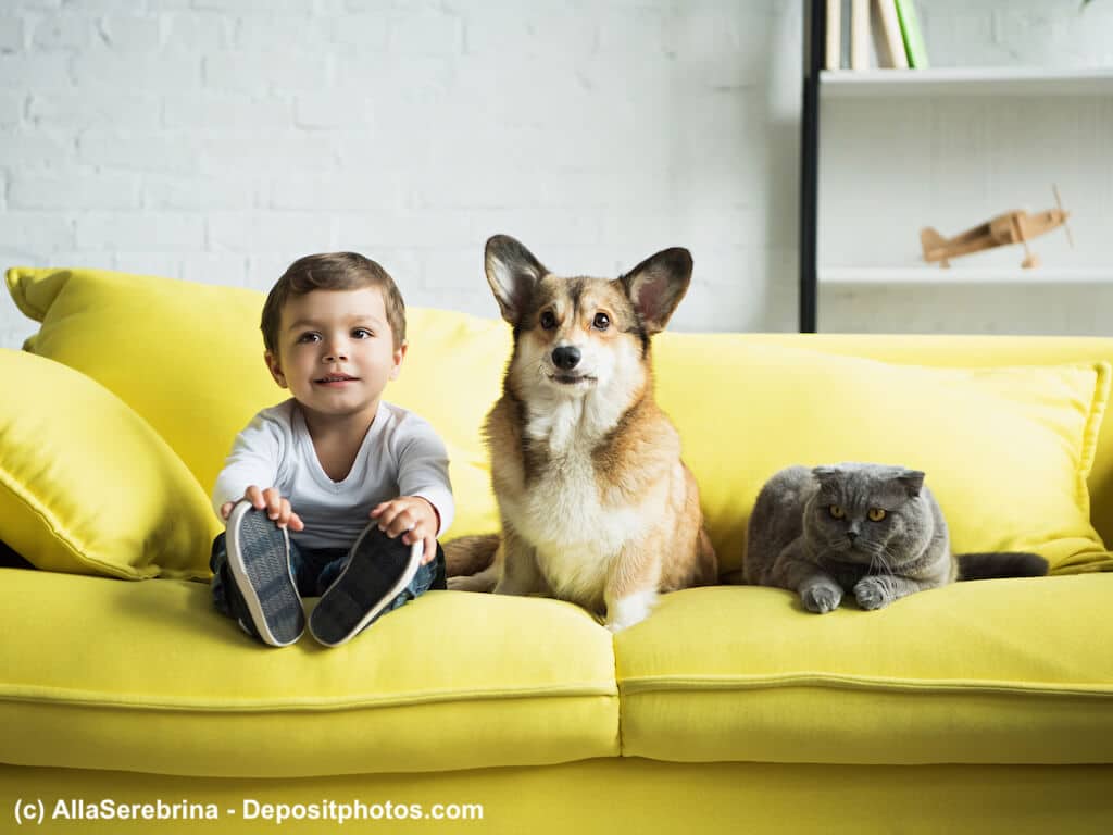 Würmer bei Hunden und Katzen, eine Gefahr!