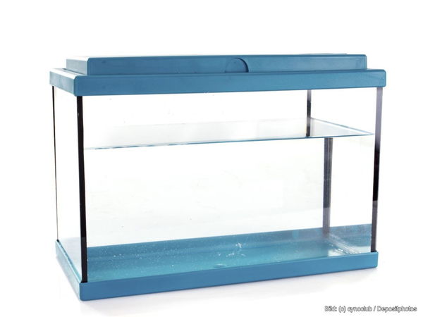 Kaufratgeber: Das beste Aquarium-Becken