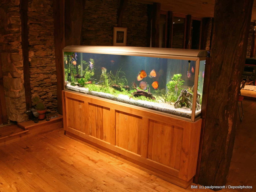 Kaufratgeber: Der beste Aquarium-Unterschrank