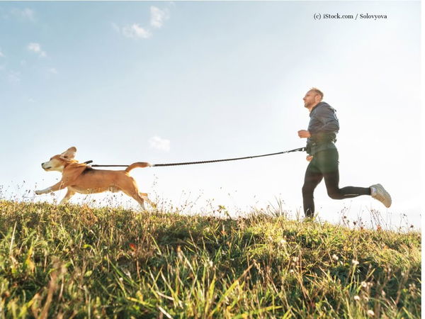 Kaufratgeber: Joggingleinen für Hunde - so macht gemeinsamer Sport Spaß