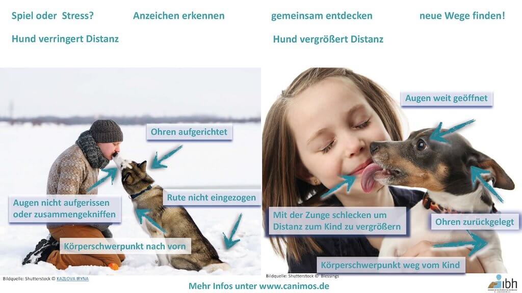 Canimos Verlag Infografik Kuss zur Distanzvergroesserung
