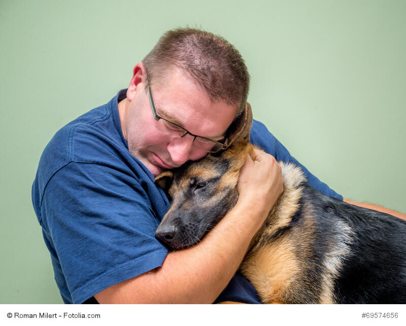 Auch wenn er eigentlich ein Wachhund ist, freut sich ein Schäferhund über Schmuseeinheiten.