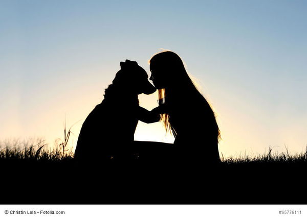 Welcher Hund passt zu mir? Finde deinen perfekten Begleiter!
