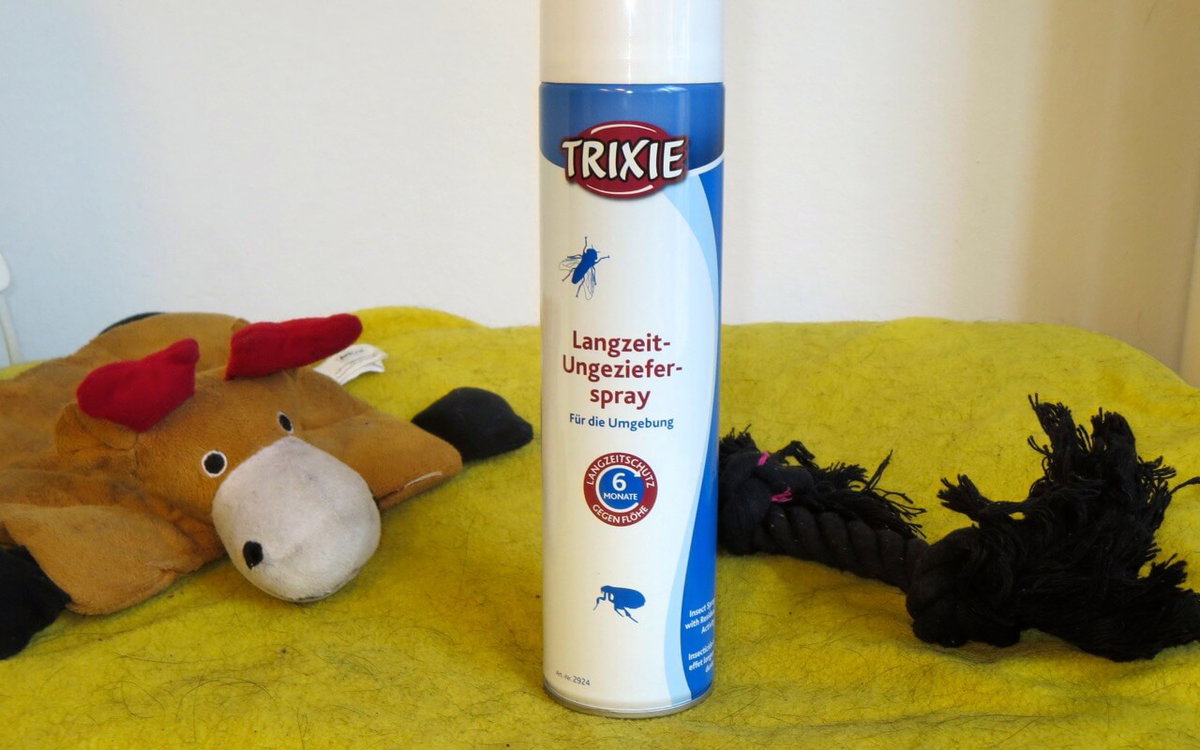 Langzeit-Ungezieferspray gegen Flöhe