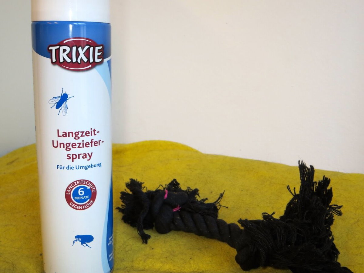 Langzeit-Ungezieferspry auf einer Hundedecke